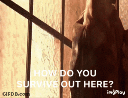 Woman At Window: How Do You Survive Out Here GIF