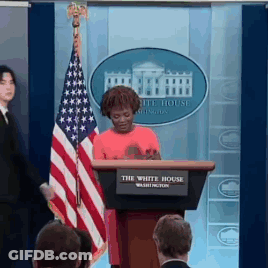 Woman Behind Podium Saying The White House GIF