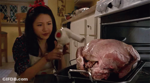 Woman Blow Drying Turkey In Oven GIF