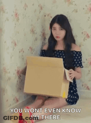 Woman Box You Won't Even Know I'm There GIF