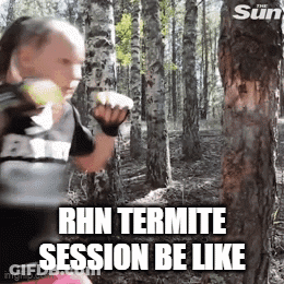 Woman Boxing In Woods Rhn Termite Session GIF