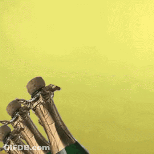 Woman Celebrating With Prosecco GIF