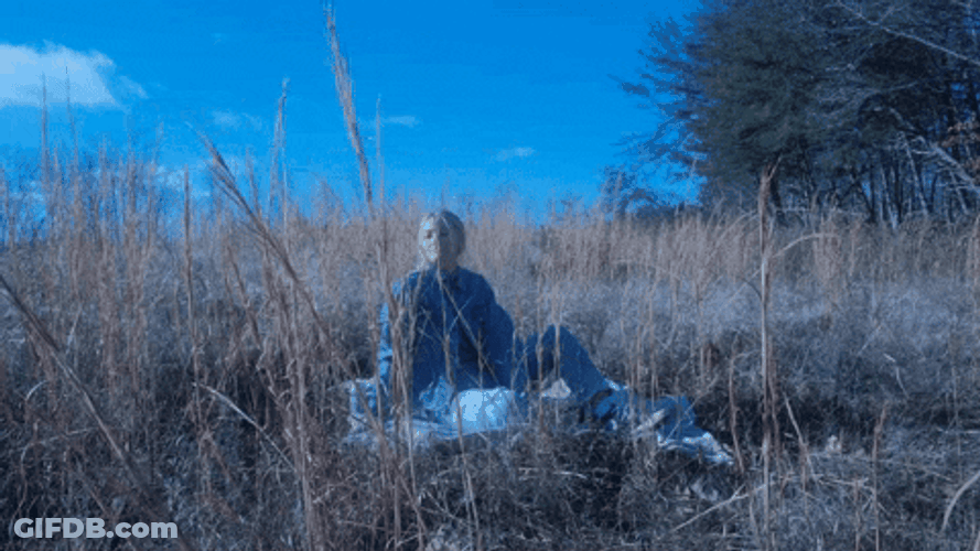 Woman Chilling Picnic Outside GIF