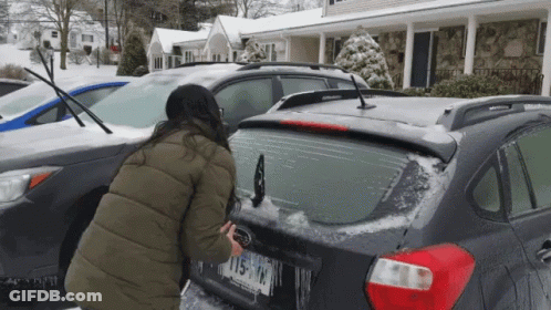 Woman Cleaning Back Of Subaru With License Plate 115-WW GIF