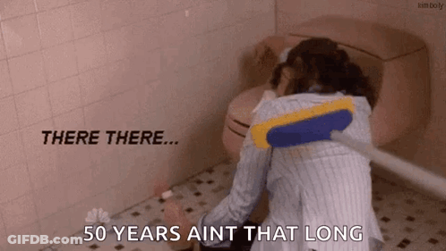 Woman Cleaning Toilet With Broom GIF