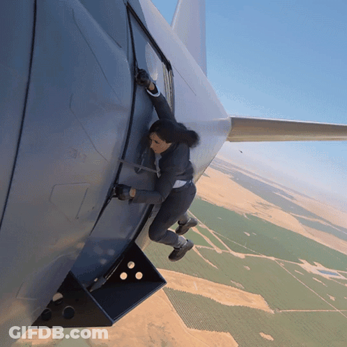 Woman Climbing Out Of Plane Door GIF