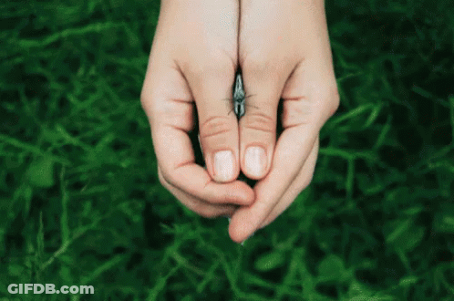 Woman Close Up With Ki-Figols GIF