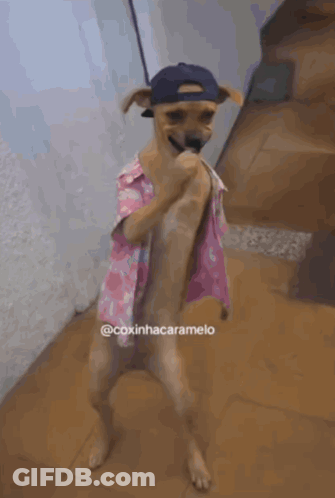 Woman Close-Up With Man Behind GIF