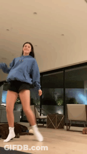 Woman Dancing In Living Room With Dog GIF