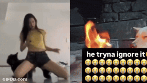 Woman Dancing Next To Dog On Fire He Tryna Ignore It GIF