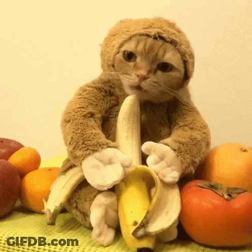 Woman Dancing On Stage Saying Moving Forward GIF