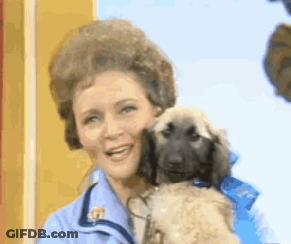 Woman Dog Hug GIF