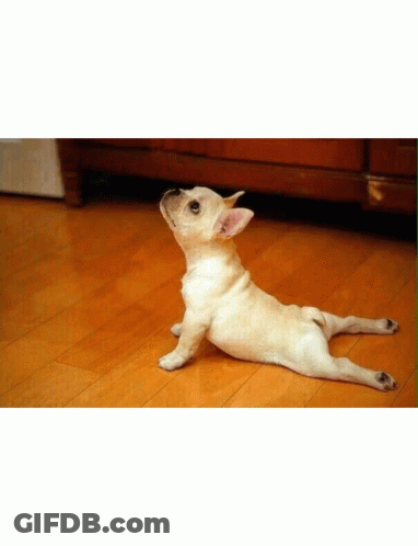Woman Doing Pilates On Machine Black And White GIF
