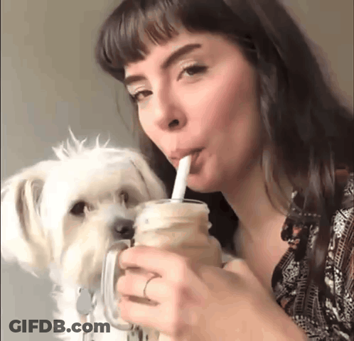Woman Drinking From Mason Jar Next To White Dog GIF