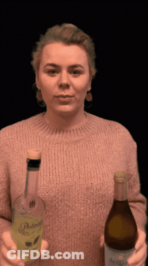 Woman Drinking Two Alcohol Bottles GIF