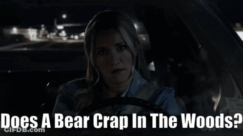 Woman Driving Car Does A Bear Crap In The Woods GIF