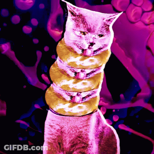 Woman Eating Bagel We Converted Another One GIF