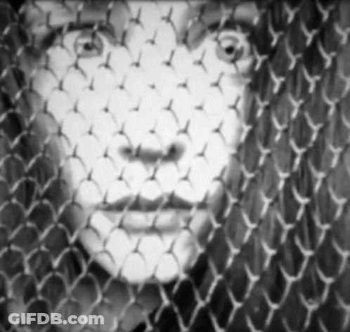 Woman Face Through Chain Link Fence GIF