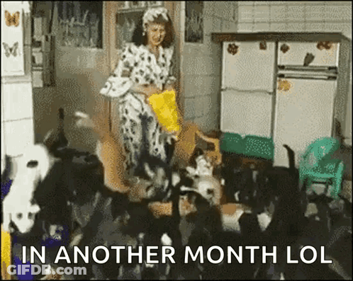Woman Feeding Cats In Kitchen Saying Another Month LOL GIF