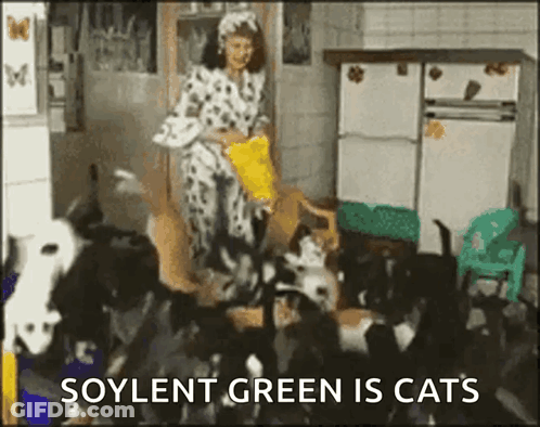 Woman Feeding Cats Saying Soylent Green Is Cats GIF