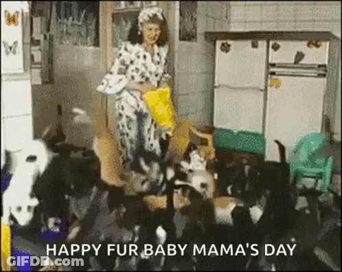 Woman Feeding Dogs Happy Fur Baby Mama's Day GIF