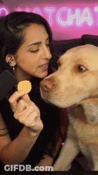 Woman Feeds Dog Snack In Front Of Catch Chat Neon Sign GIF