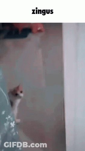 Woman Firefighter Saying We're In The Middle Of An Actual Emergency GIF