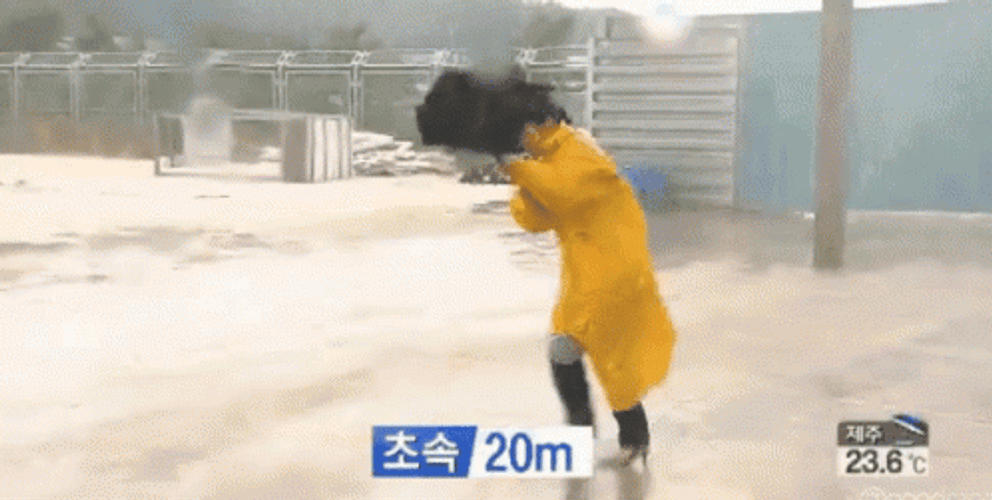 Woman Getting Blown By Bomb Cyclone Winds GIF