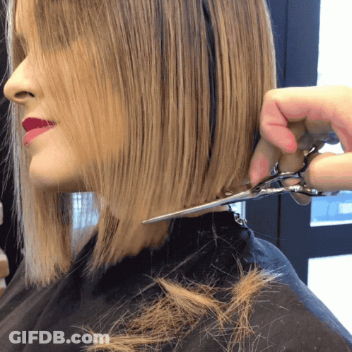 Woman Getting Haircut From Stylist GIF