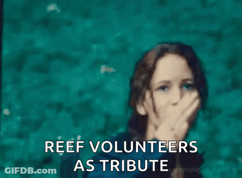 Woman Giving Middle Finger In Water Reef Volunteers As Tribute GIF