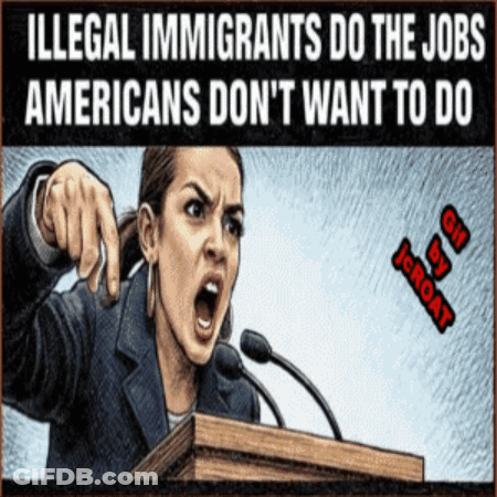 Woman Giving Speech About Illegal Immigrants Doing Jobs Americans Don't Want GIF