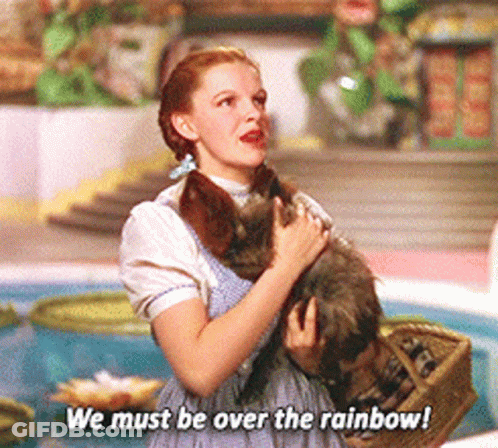 Woman Gray Dress Cat Saying We Must Be Over The Rainbow GIF