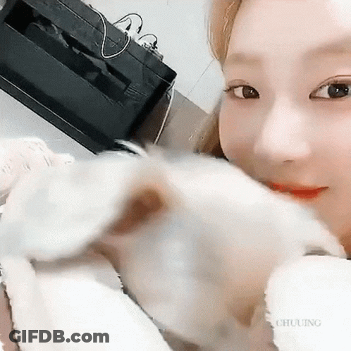 Woman Holding And Looking At Small White Dog GIF