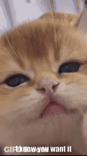 Woman Holding Baby Saying Oh I Don't Know GIF