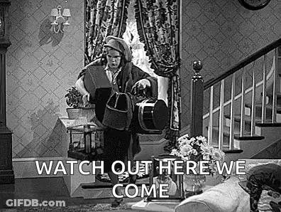 Woman Holding Bag And Dog GIF