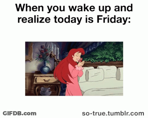 Woman Holding Bird Saying Today Is Friday GIF