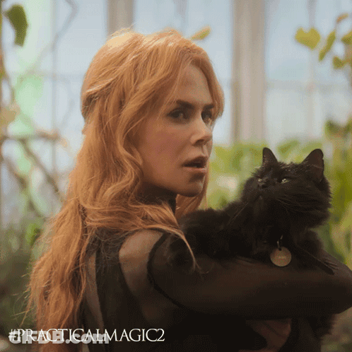 Woman Holding Black Cat #PracticalMagic2 GIF