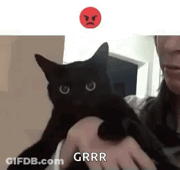 Woman Holding Black Cat With Angry Face Behind GIF