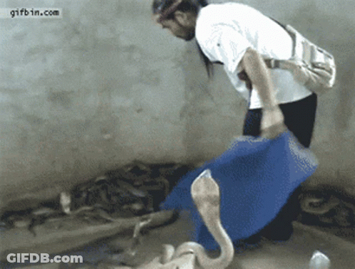 Woman Holding Blue Bag GIF