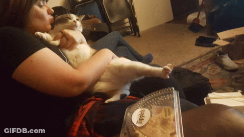 Woman Holding Cat Next To Lippin's Container GIF