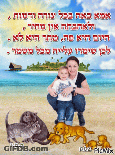 Woman Holding Child On Beach With Cats And Puppies GIF