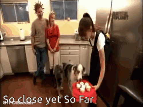 Woman Holding Cupcakes So Close Yet So Far GIF