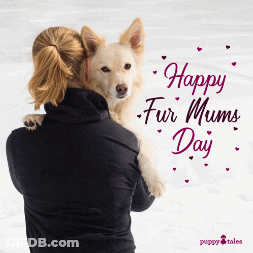 Woman Holding Dog Happy Fur Mums Day GIF