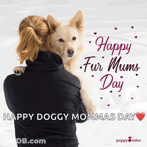 Woman Holding Dog Happy Fur Mums Day GIF