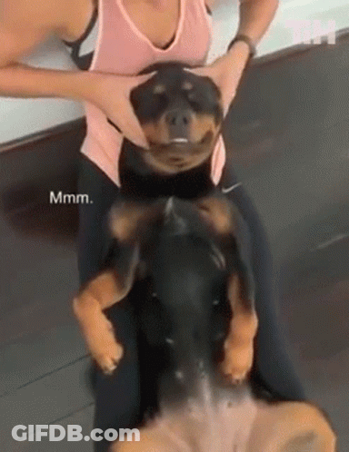 Woman Holding Dog Lying On Back GIF