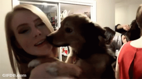 Woman Holding Dog Sniffing Her Face GIF