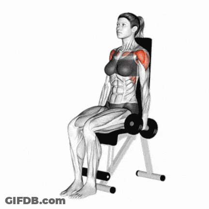 Woman Holding Dumbbells Over Shoulders On Bench GIF