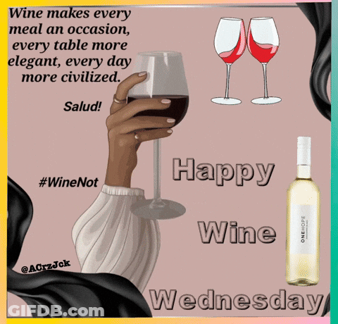 Woman Holding Glass Of Wine GIF