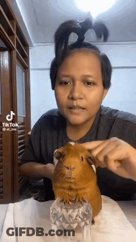 Woman Holding Guinea Pig GIF
