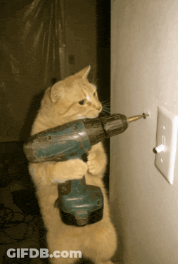 Woman Holding Gun Mom First Day Of High School GIF